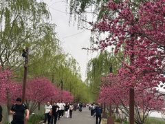 -南北湖风景区