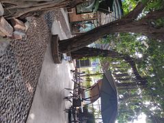 -柴犬高等学院·狗咖·柴犬售卖·宠物训练