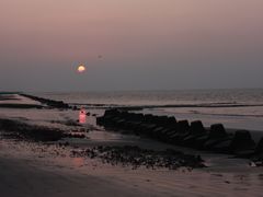 -南汇嘴观海公园