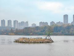 -观山湖公园