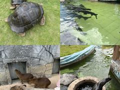 -南京金牛湖风景区