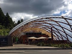 Waitomo&nbsp;Glowworm&nbsp;Caves-怀托摩萤火虫洞