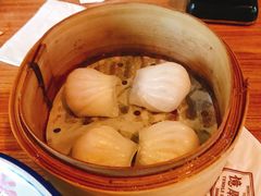 -憶廟街 X 沙角邨(太古城店)