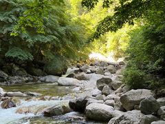 -青峰峡国家森林公园