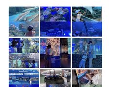 -石家庄海洋公园