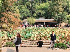 -韶山毛泽东同志故居