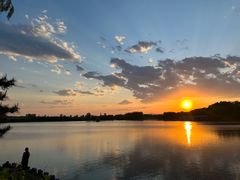 -大兴滨河森林公园