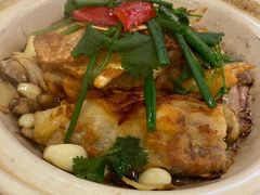 -清新鸡沙田乳鸽店(金融店)