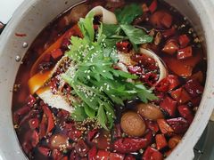 -晓彭肥肠鸡·泡椒鸡火锅(水木天地店)