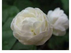 -岚方螺蛳粉(铁西店)