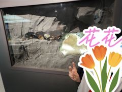 -湖南省地质博物馆