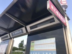 -南汇嘴观海公园