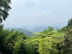 -莫干山风景区