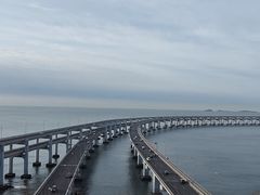 -星海湾跨海大桥