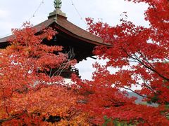 -常寂光寺