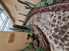 -正佳雨林生态植物园