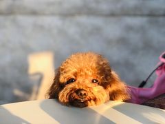 -BAKER&SPICE(BFC外滩金融中心店)