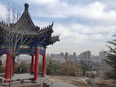 -金城公园