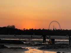 -日照海滨国家森林公园