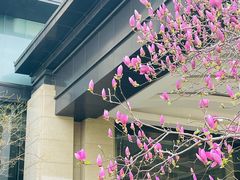 -济南喜来登酒店