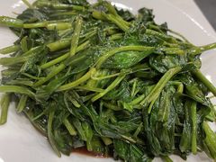 腐乳空心菜-海金滋(陕西南路店)