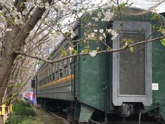 -新天地活力PARK