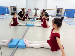 -红舞鞋舞蹈教育(近江校区)
