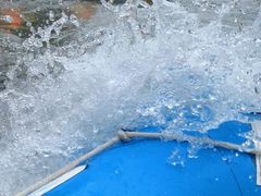 -将军关探险漂流