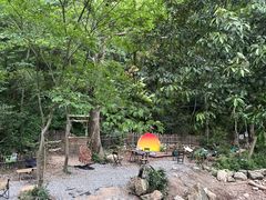 -北仑森林植物园