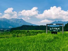 -上色见熊野座神社