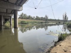 -洨河生态公园