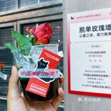 宁波新店｜园区里的潮咖 拍照也太出片了