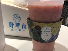 -野萃山·潮汕厚果汁(十亩地店)