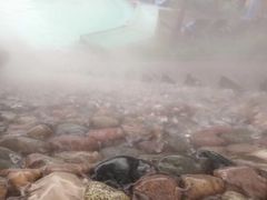 -灵秀温泉