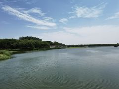 -大兴滨河森林公园