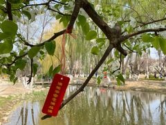 -泰丰公园