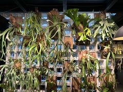 -自由生长植物工作室(深港花卉中心店)
