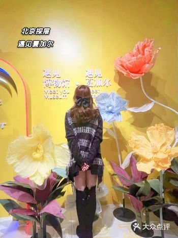 北京探展｜夏加尔：爱与色彩