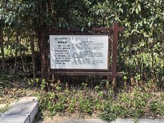 -镇江市南山风景名胜区竹林景区