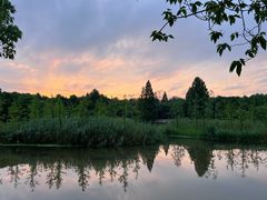 -HONGA HONGA雄家(曹路店)