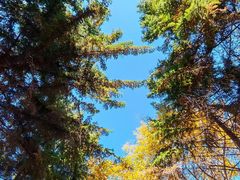 -长春市南湖公园