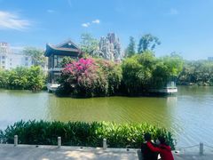 -荔湾湖公园