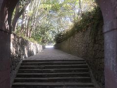 -普陀山风景区-佛顶山