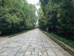 -灵谷景区