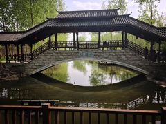 -合肥滨湖国家森林公园