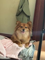 -记号刺青tattoo纹身工作室