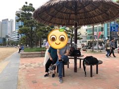 -广安大桥