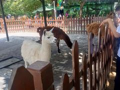 -西安秦岭野生动物园