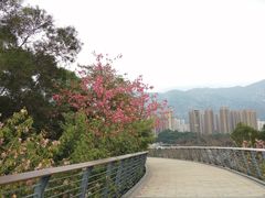 -牛岗山公园
