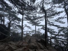 -黄山风景区